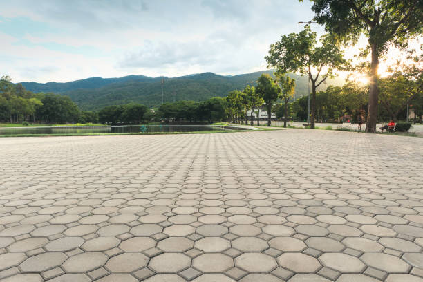 Best Driveway Repair Near Me  in Randleman, NC