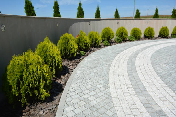 Best Driveway Paving Contractor  in Randleman, NC